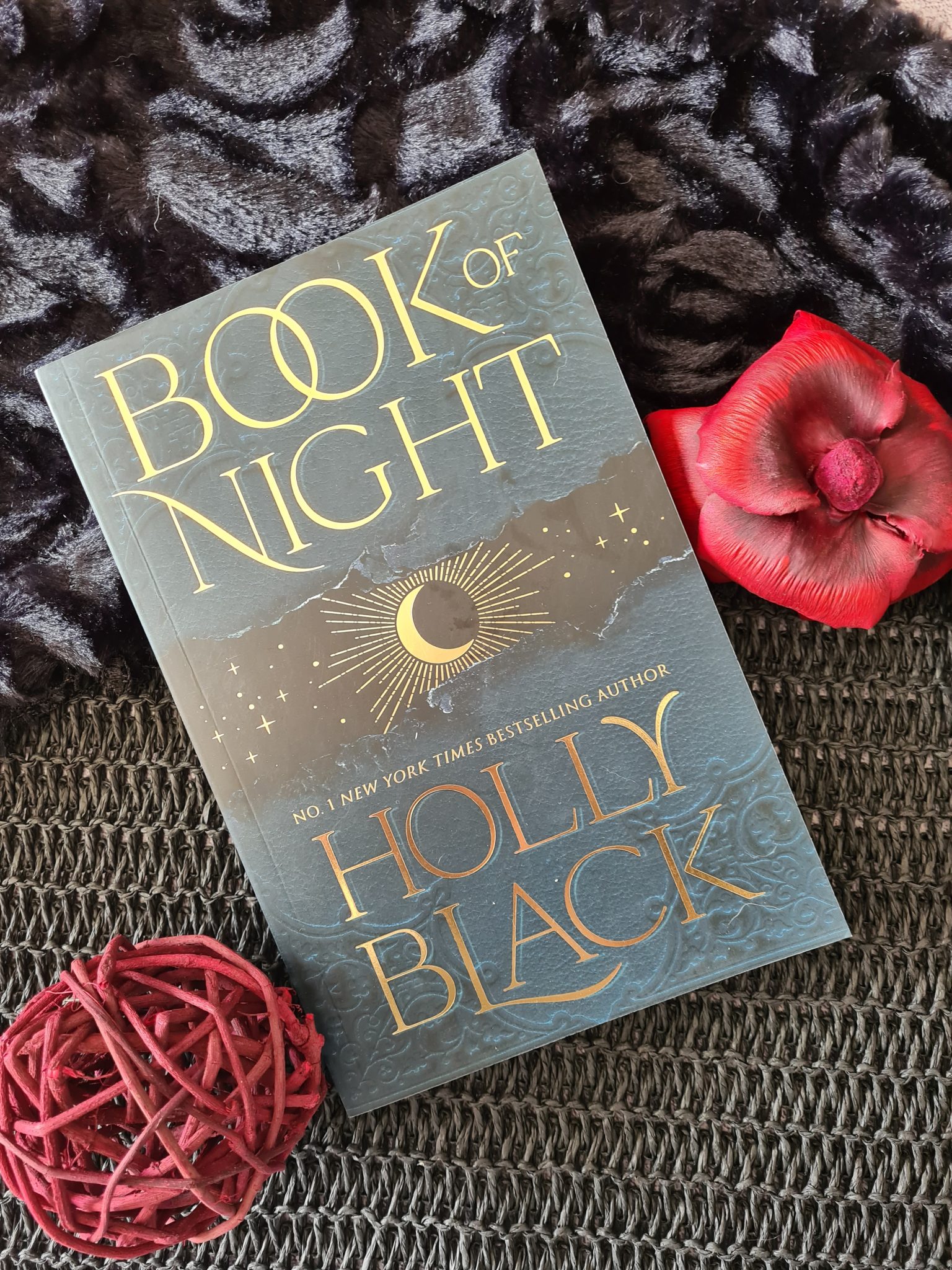 Review Snippet Book of Night by Holly Black Roelia Reads