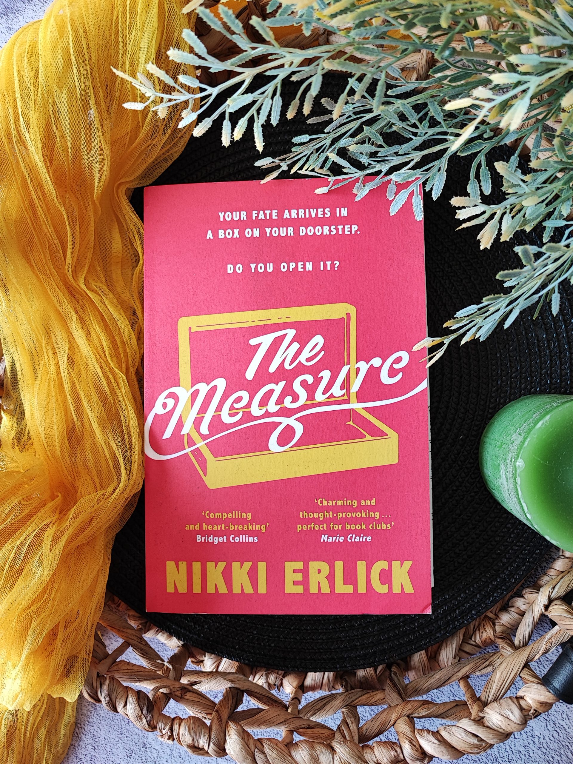 Review The Measure by Nikki Erlick Roelia Reads