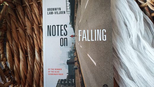 Notes on Falling Bronwyn Law-Viljoen