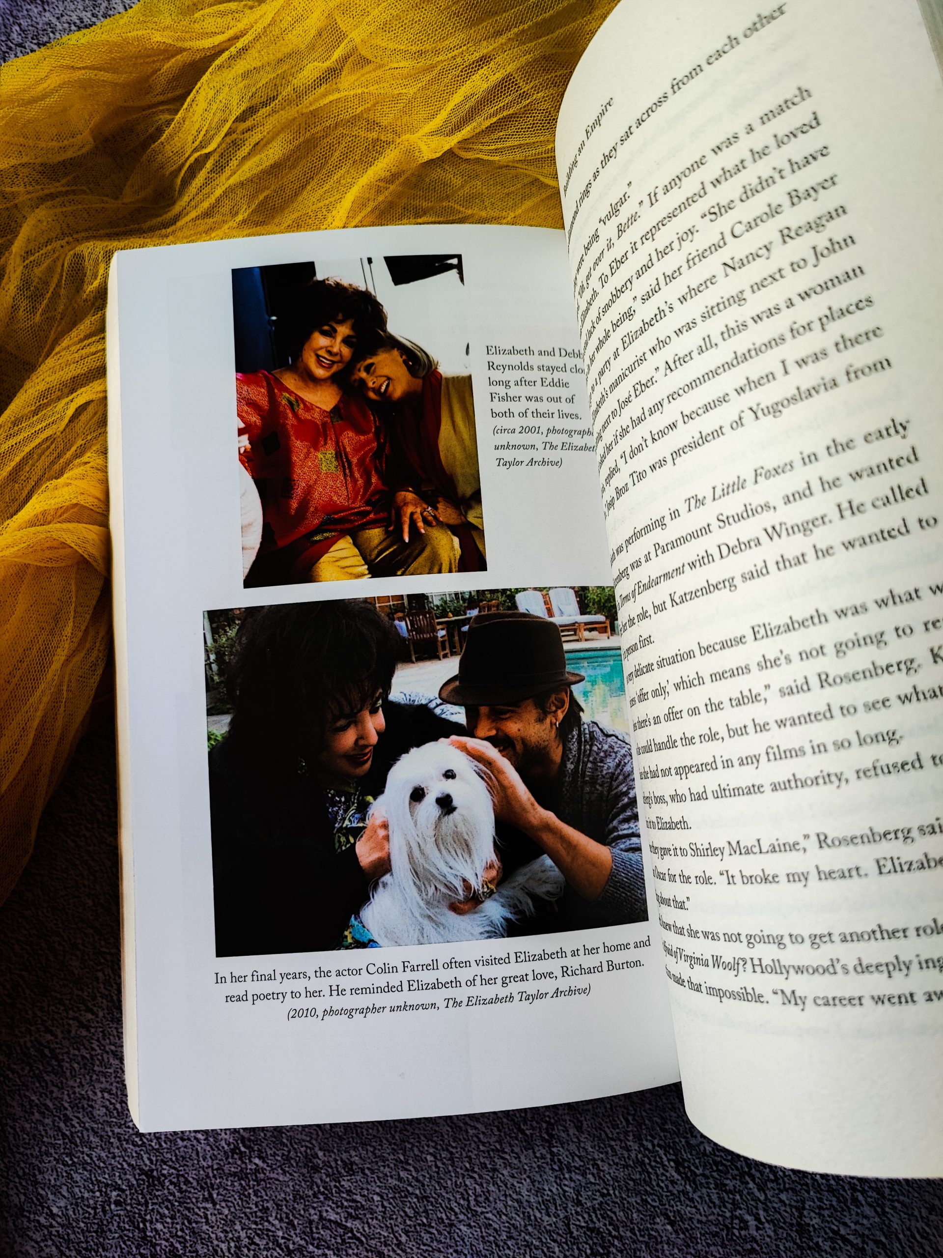 Elizabeth Taylor: The Grit & Glamour of an Icon Kate Andersen Brower