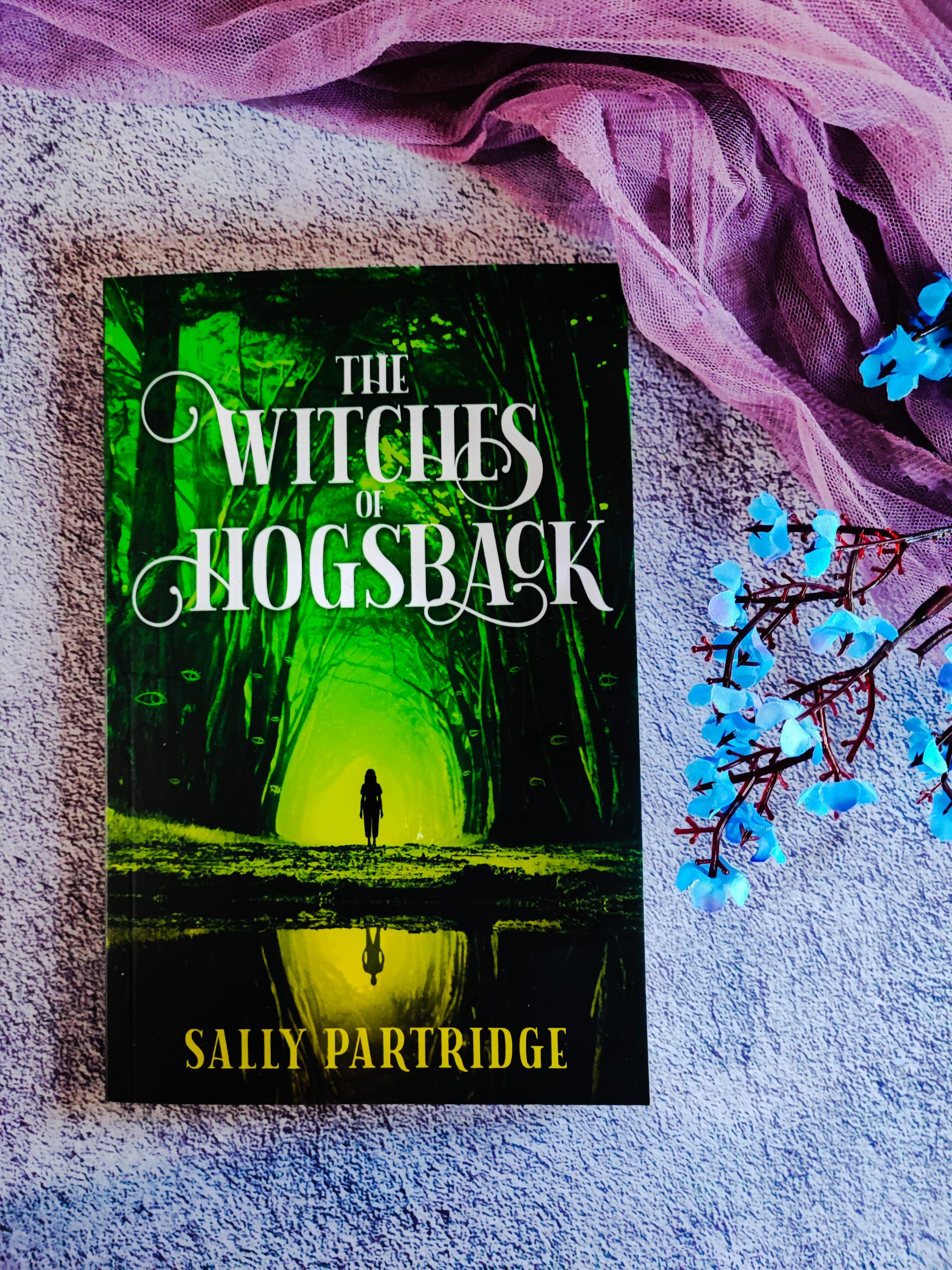 The Witches of Hogsback by Sally Partridge