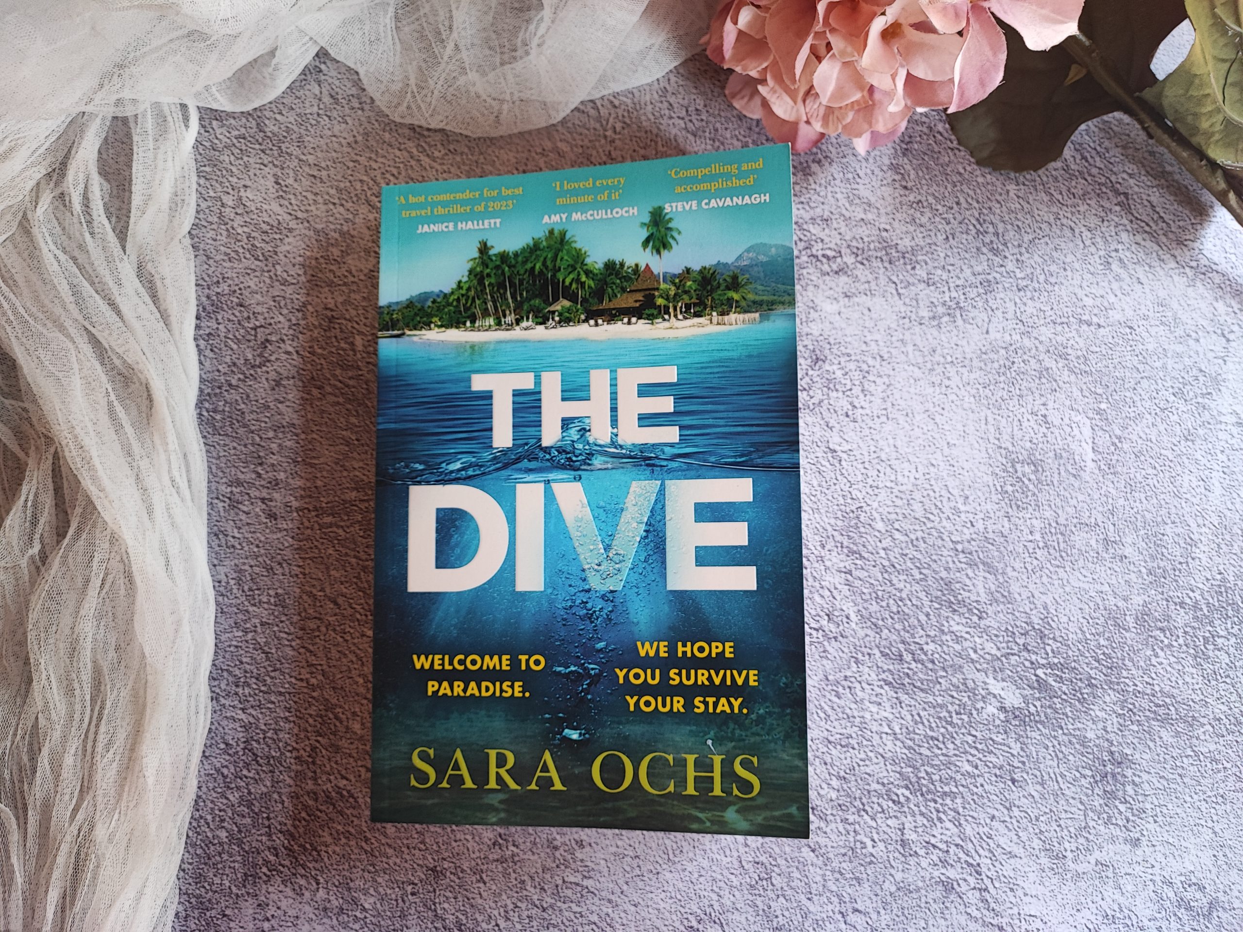 The Dive Sara Ochs Roelia Reads Book Review