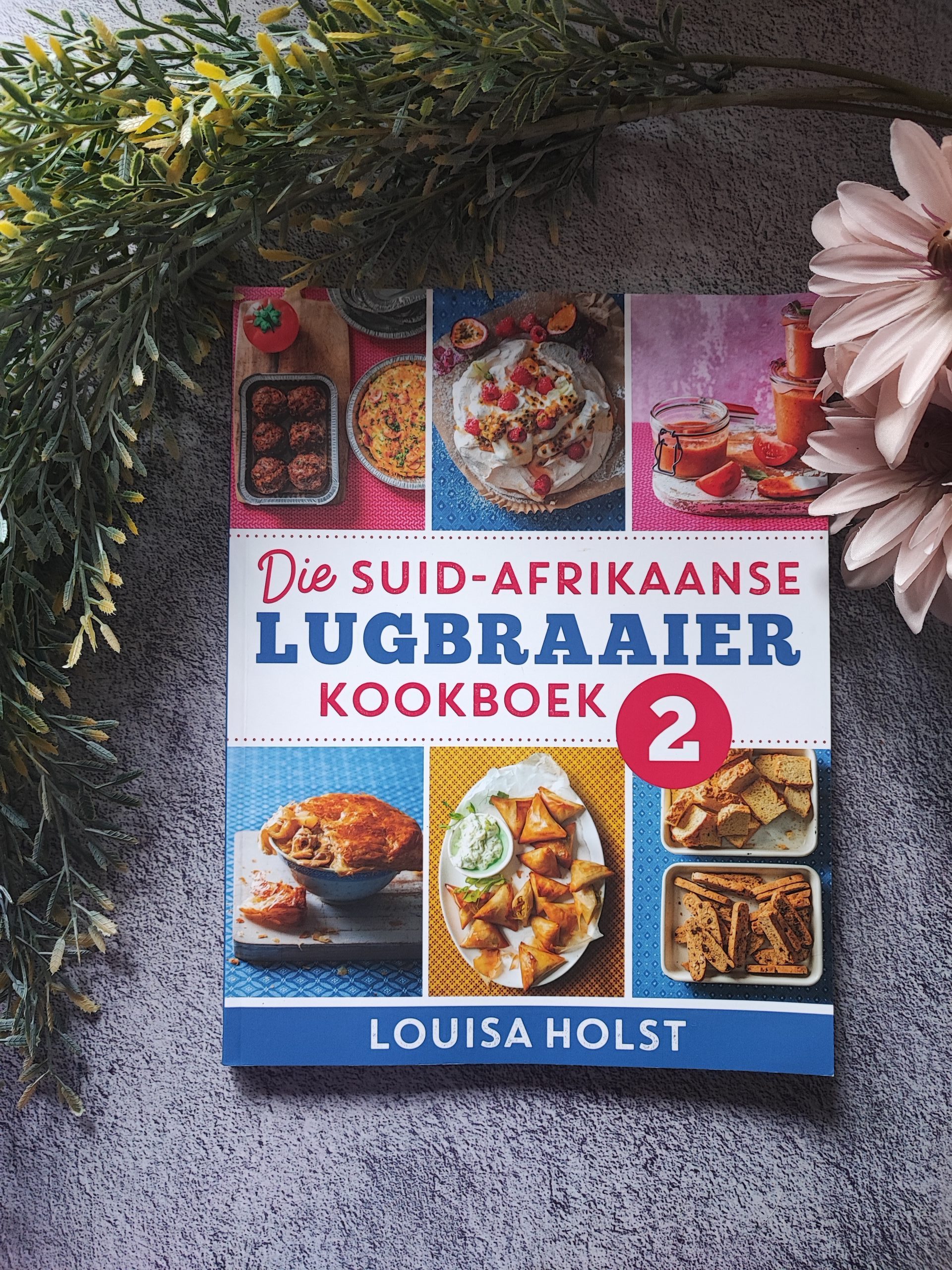 Die Suid-Afrikaanse lugbraaier kookboek 2 Louisa Holst