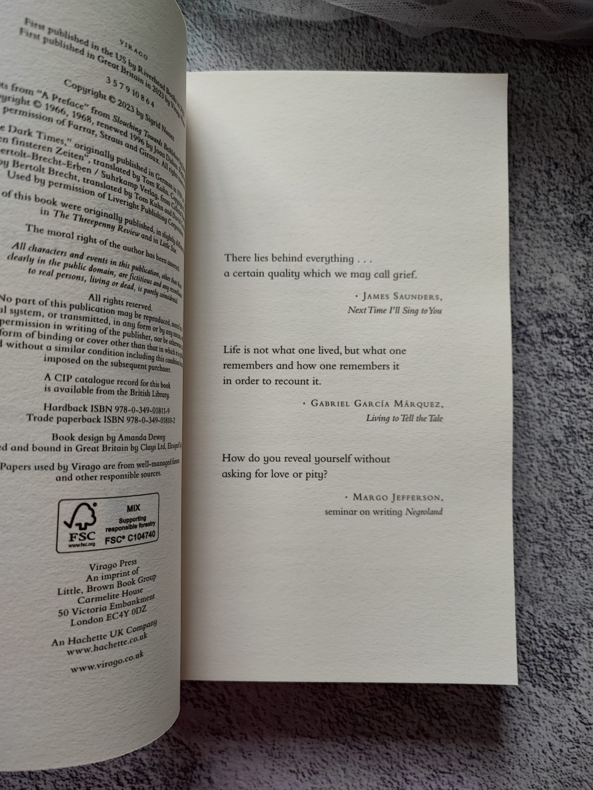 The Vulnerables by Sigrid Nunez