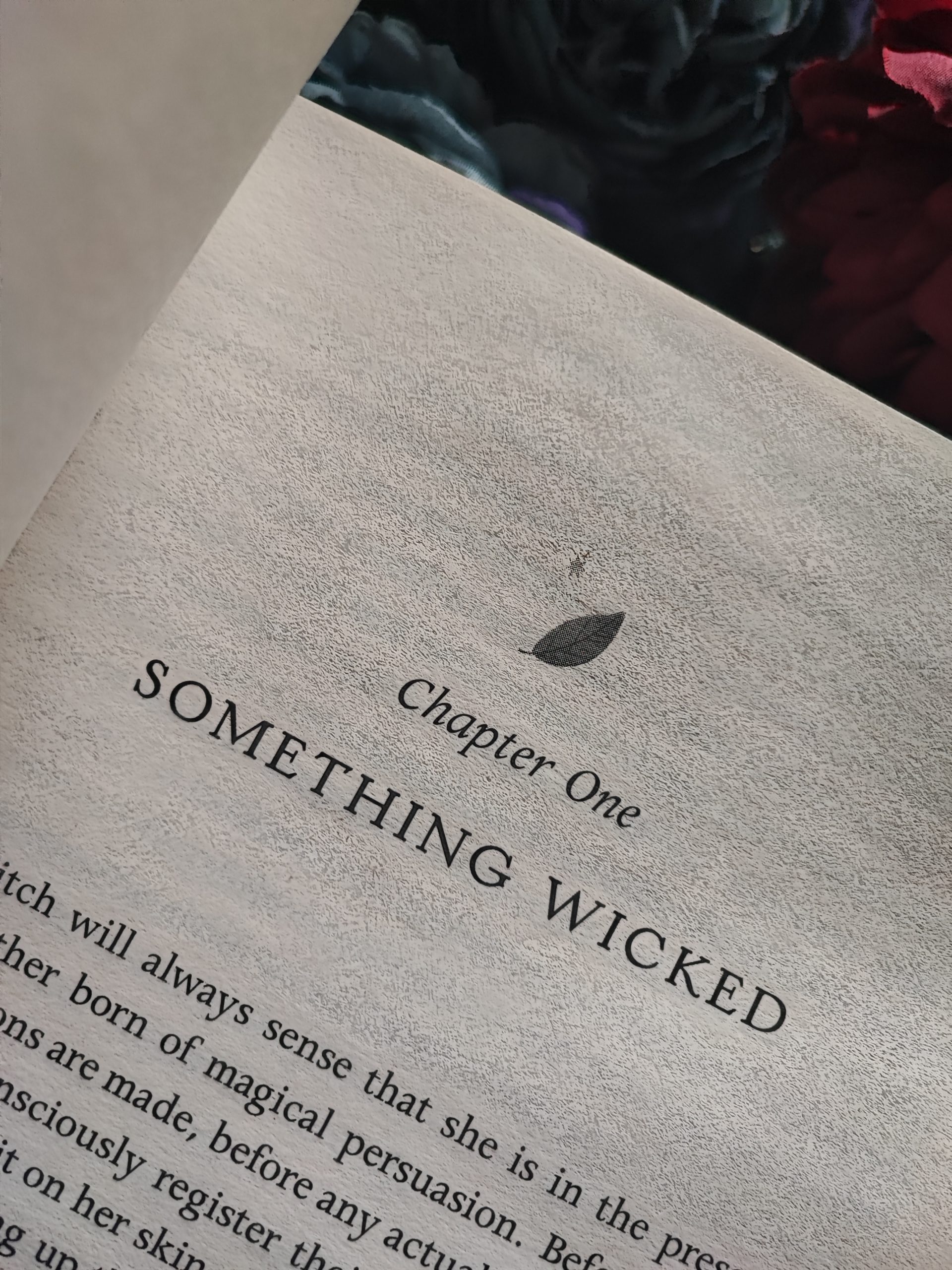 Lucy Jane Wood, Rewitched