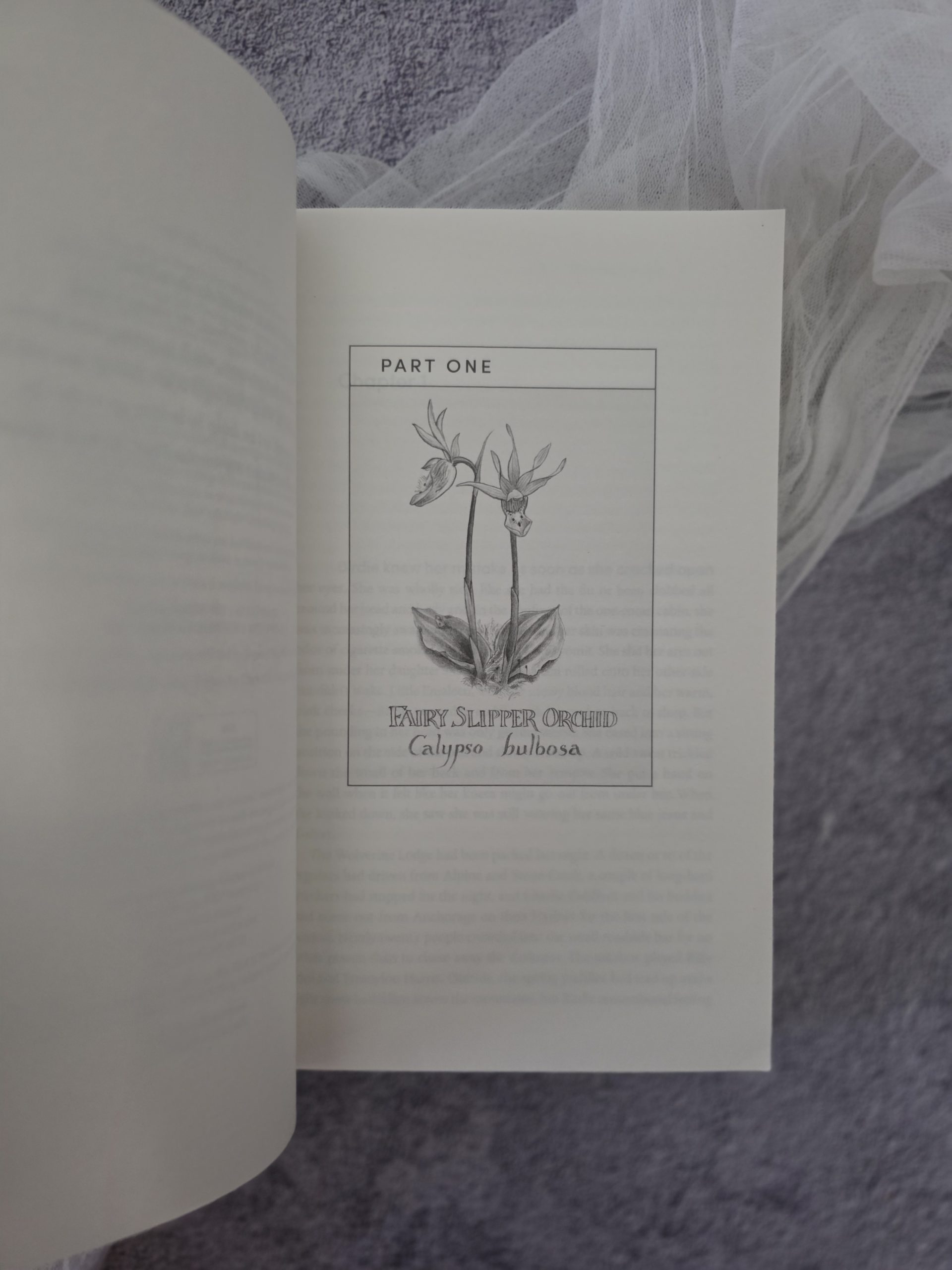 Black Woods Blue Sky by Eowyn Ivey