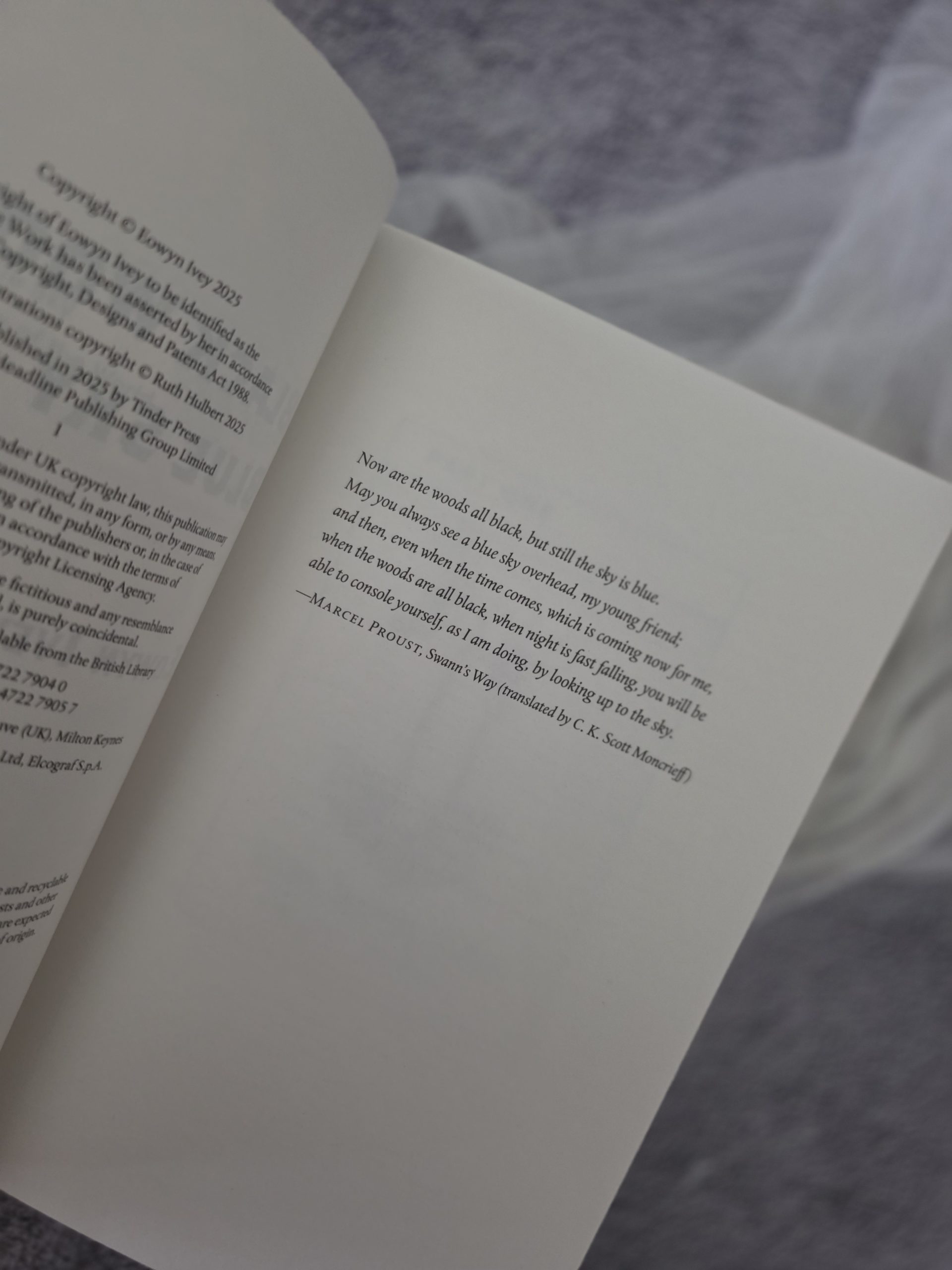 Black Woods Blue Sky by Eowyn Ivey