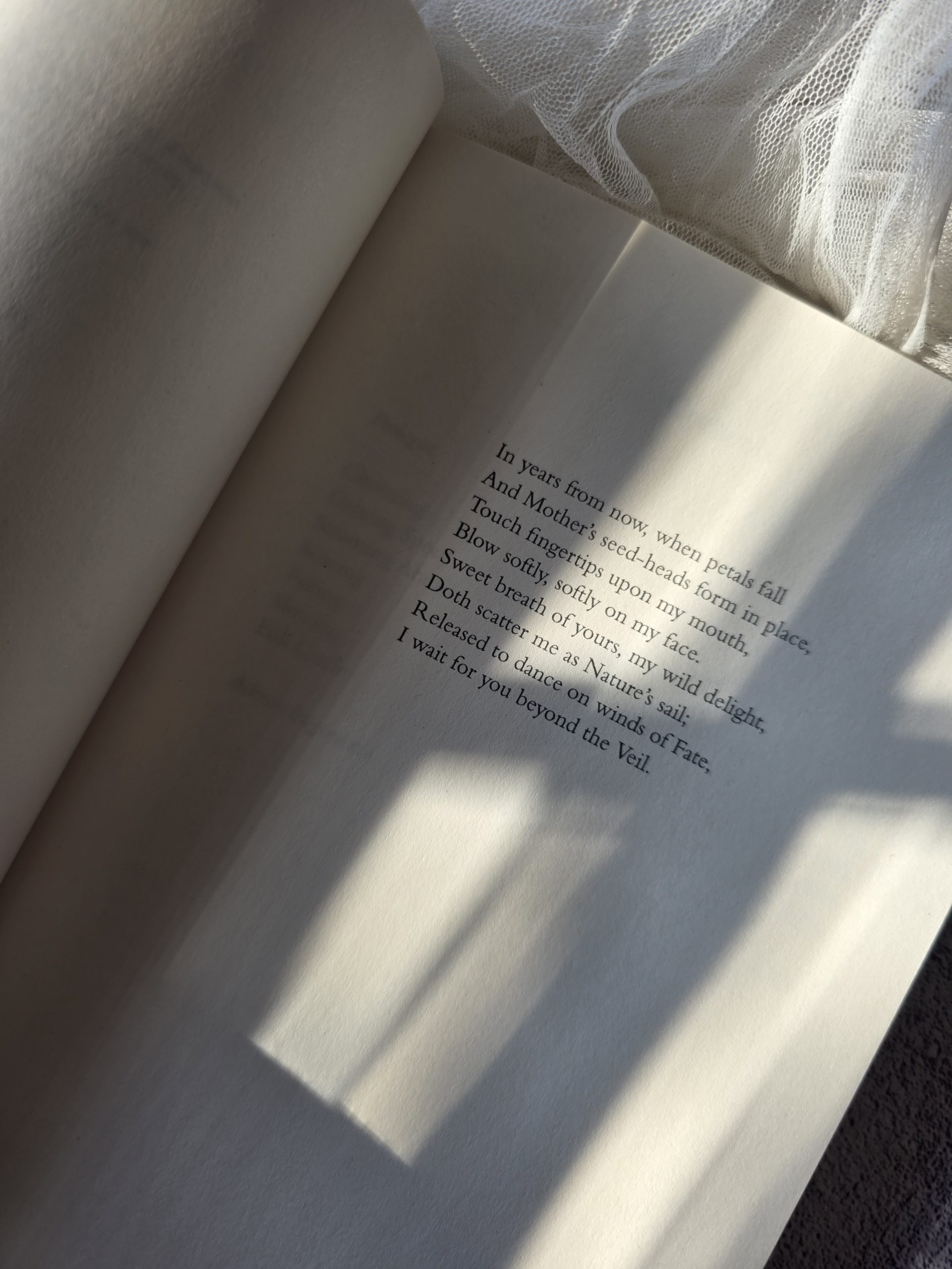 The Midnight Carousel by Fiza Saeed McLynn