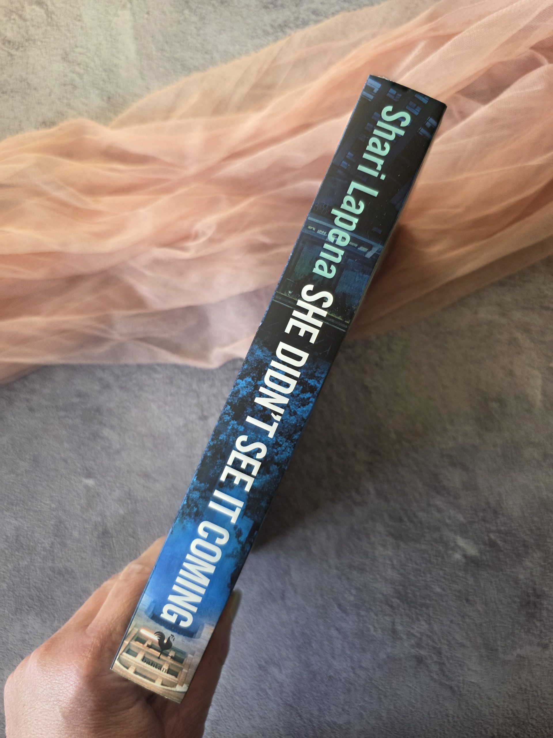 She Didn't See It Coming by Shari Lapena