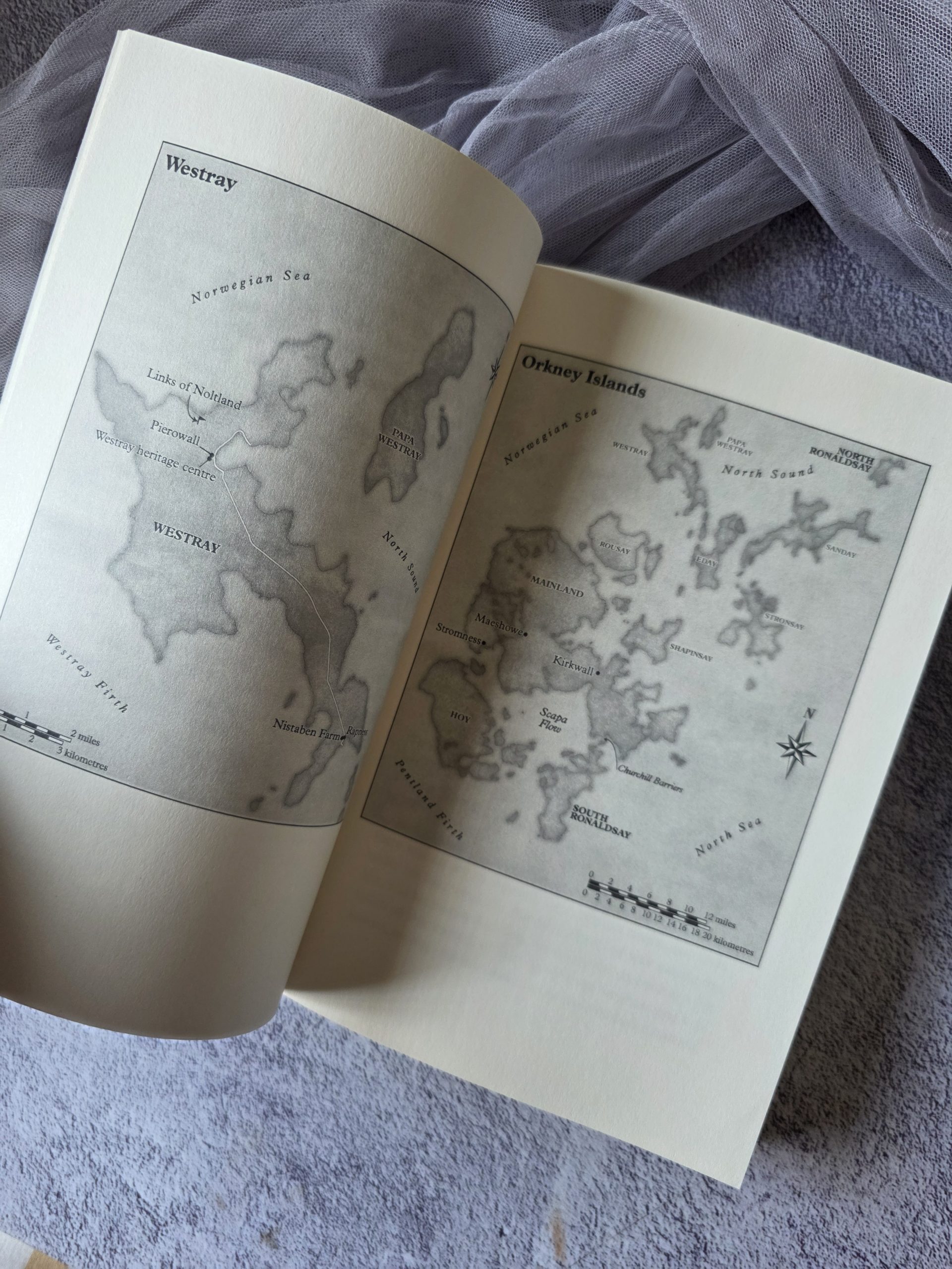 The Killing Stones by Ann Cleeves