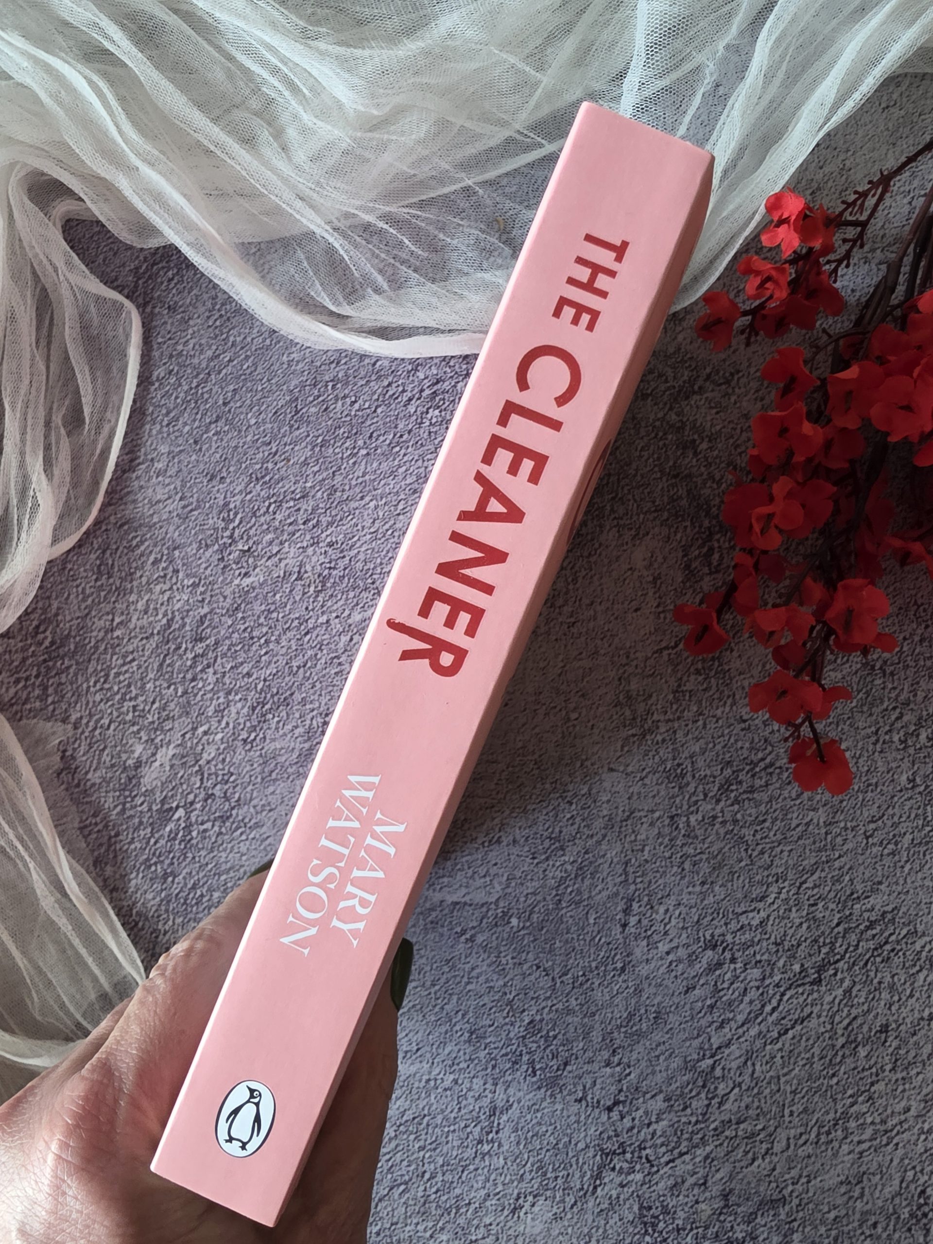 The Cleaner by Mary Watson