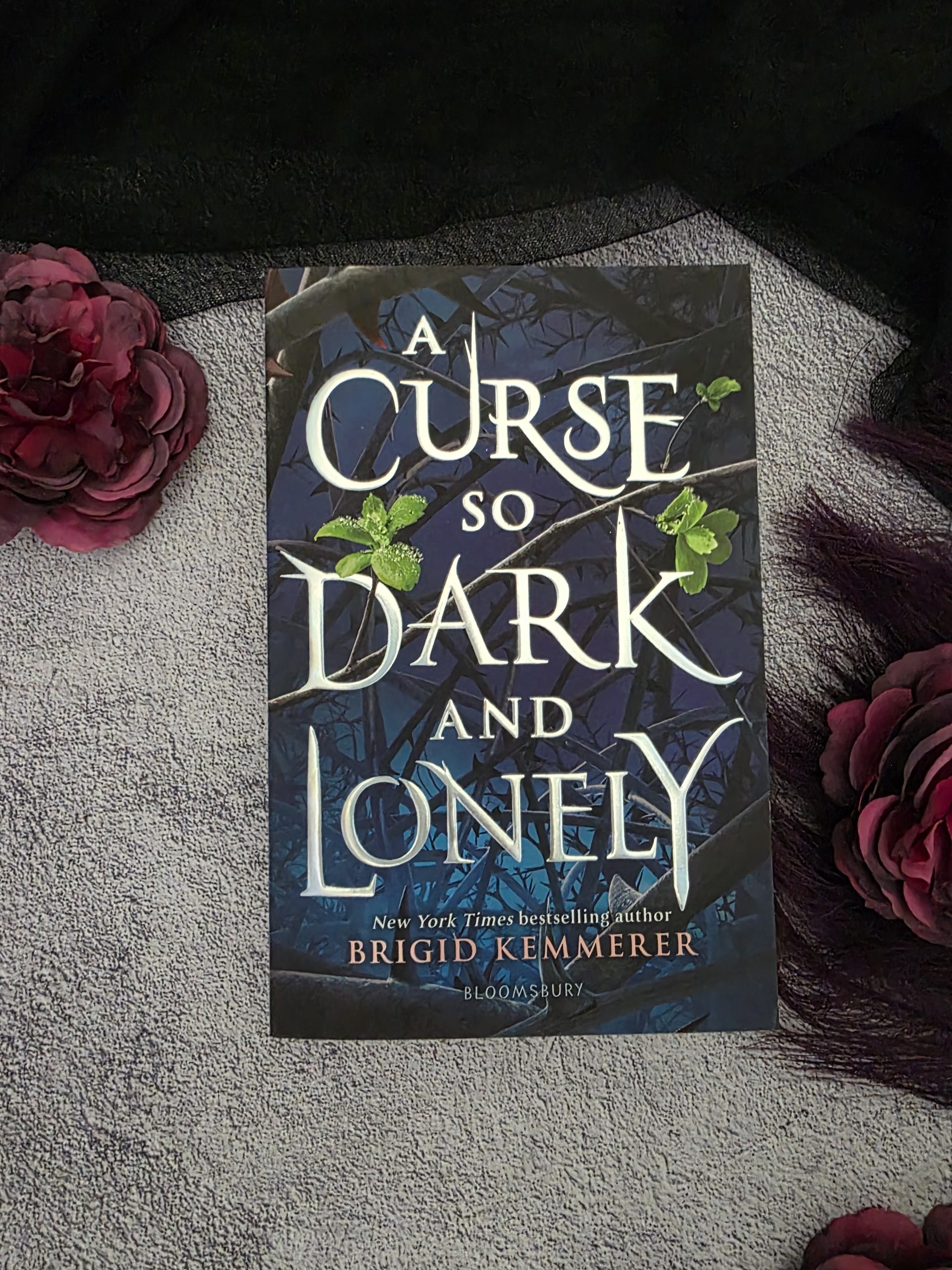 A Curse So Dark and Lonely by Brigid Kemmerer