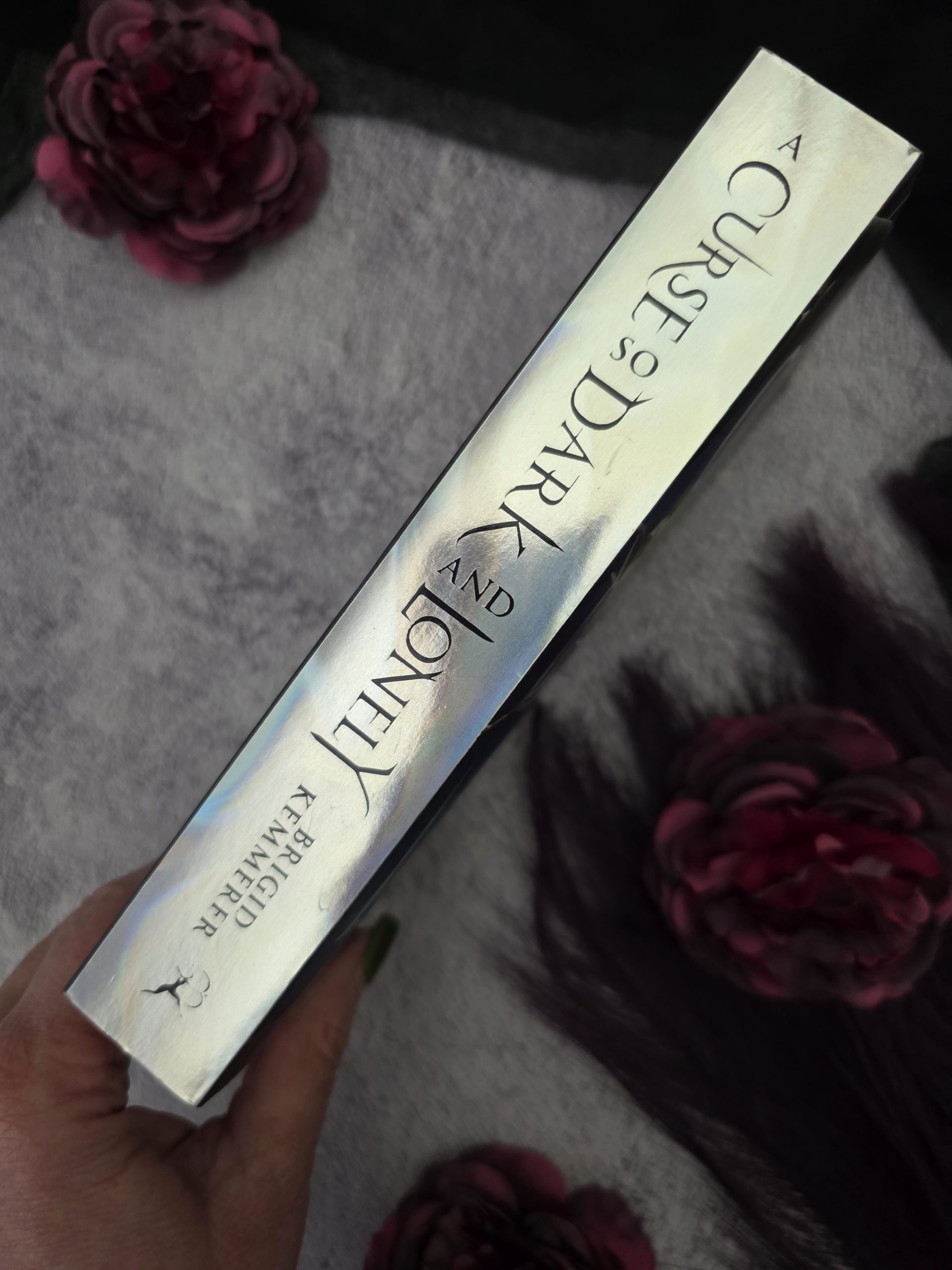 A Curse So Dark and Lonely by Brigid Kemmerer