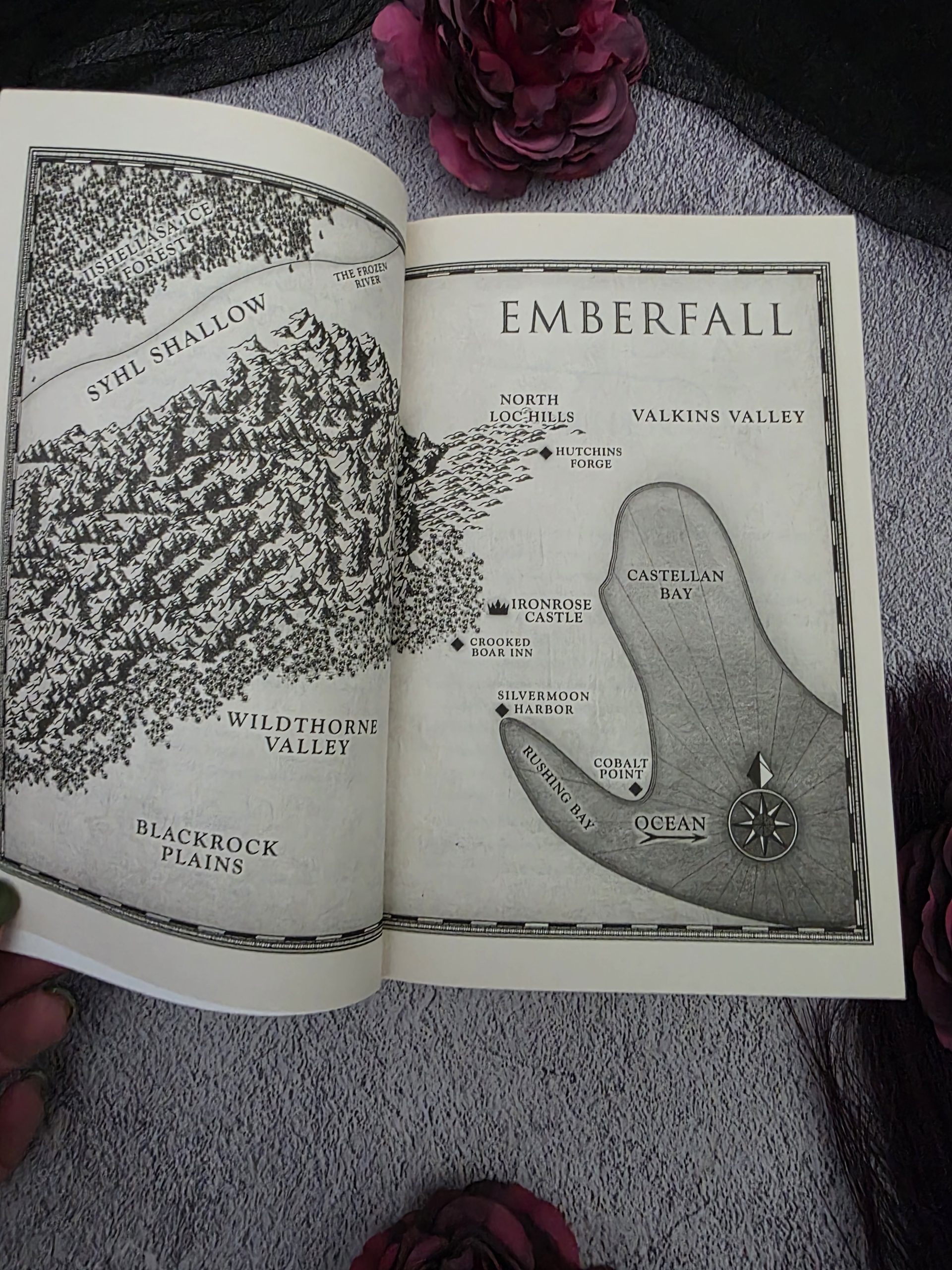 A Curse So Dark and Lonely by Brigid Kemmerer