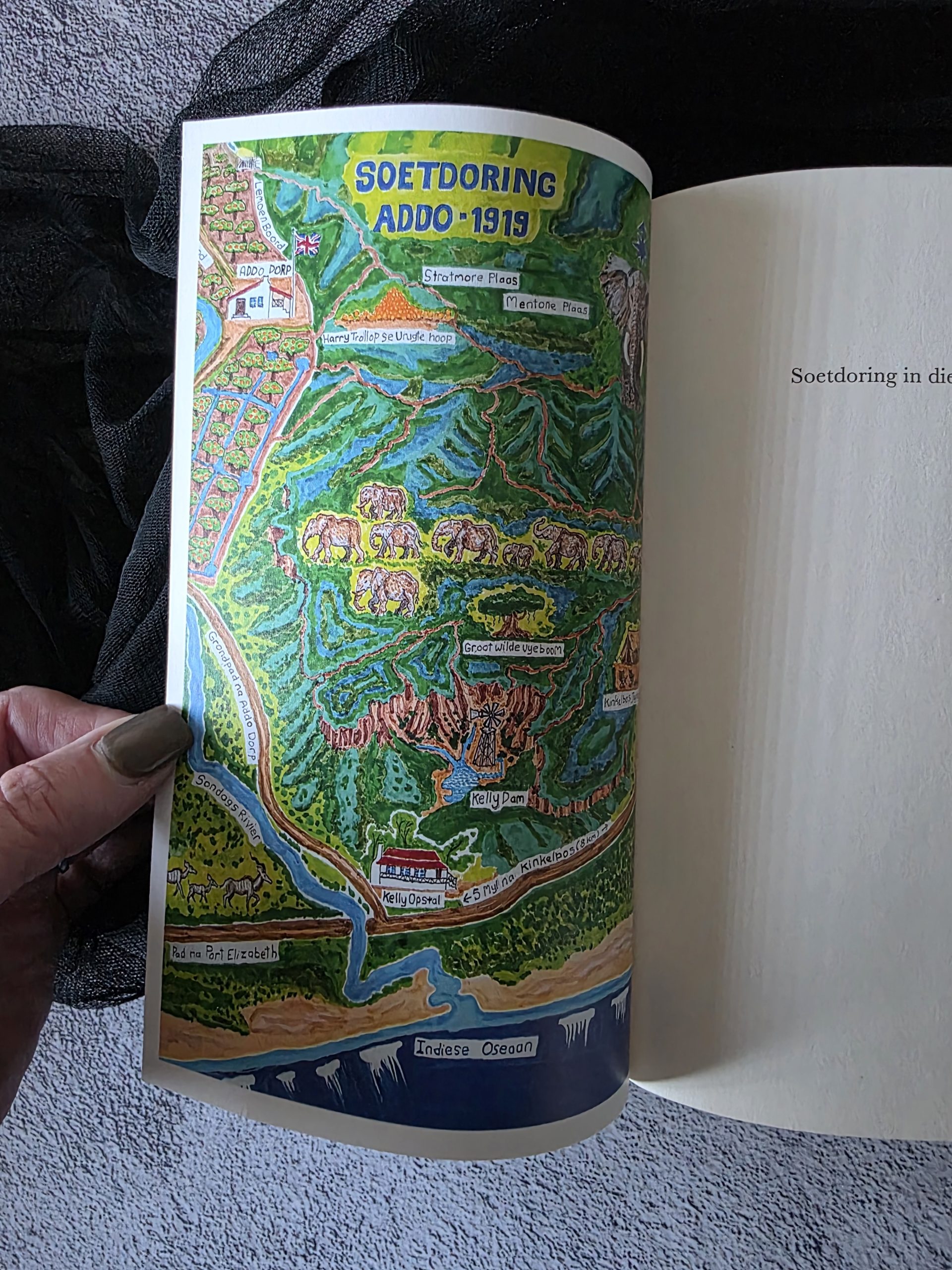 Soetdoring in die Ruigtes deur Christiaan Bakkes